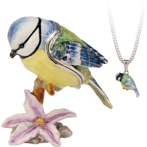 1031 Secrets From Hidden Blue Tit