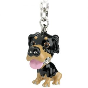 Details about   Little Paws Black Labrador Retriever Key Ring With Charms and Trolley Coin New! 