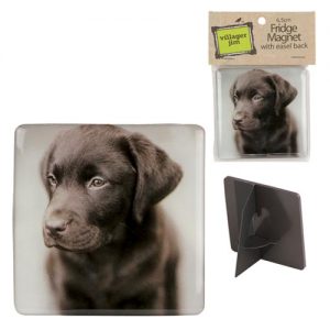 VJ Magnet Barney Mocca NO WM