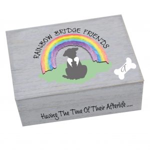 Rainbow Bridge Friends Memory Boxes