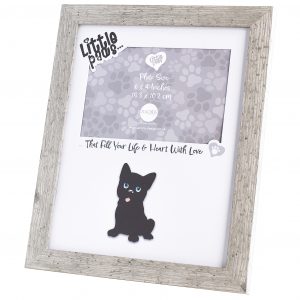 LP Frame French Bulldog B2B