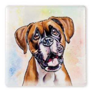 Coaster Boxer B2B