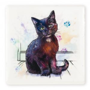 Coaster Cat Black B2B