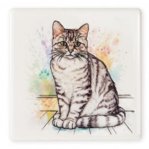 Coaster Cat Silver Tabby B2B