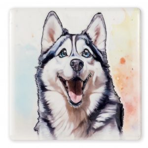 Coaster Husky B2B
