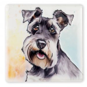 Coaster Schnauzer B2B
