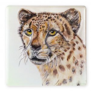 Coaster Wildlife Cheetah B2B
