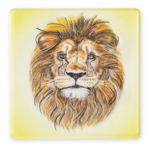 Coaster Wildlife Lion B2B