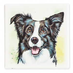 Magnet Border Collie B2B