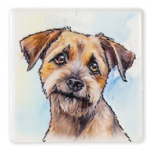 Magnet Border Terrier B2B