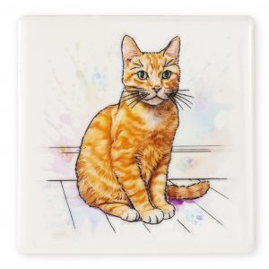 Magnet Cat Ginger B2B