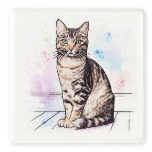 Magnet Cat Tabby B2B