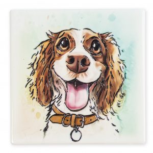 Magnet Springer Spaniel B2B