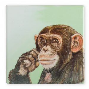 Coaster Wildlife Chimp B2B Coaster Wildlife Chimp B2B