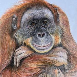 IMG 20250702 WA0002 IMG 20250702 WA0002