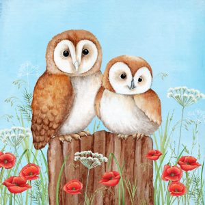Barnowls Sitting