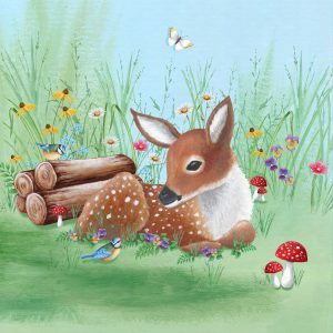 Countryside Coasters