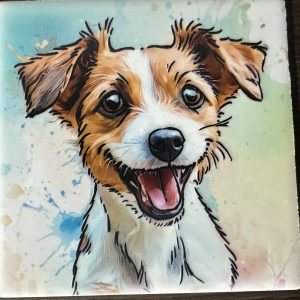 Jack Russell Amend