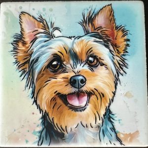 Yorkie Amend